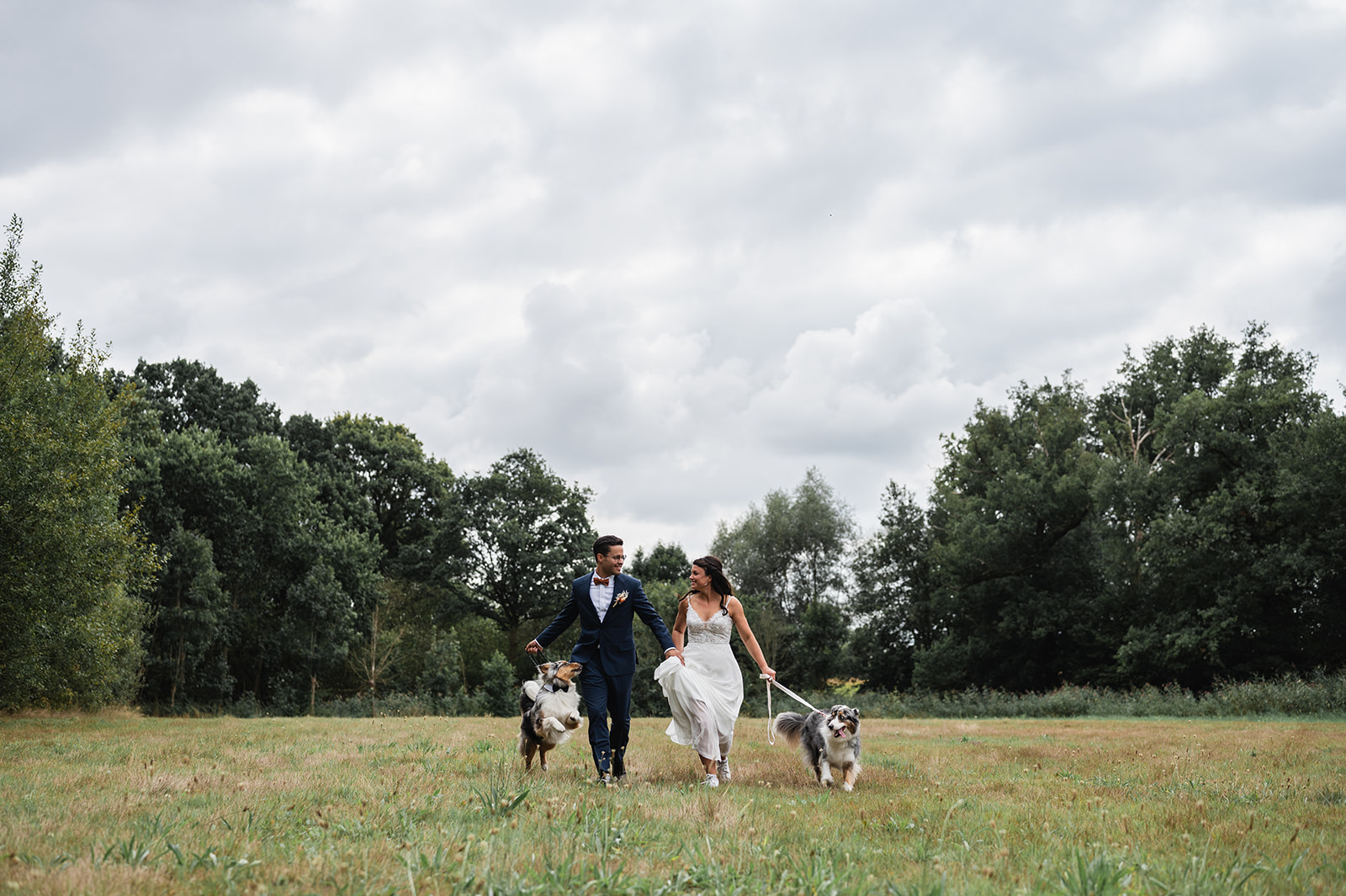 Lees meer over het artikel 7 manieren om je hond te betrekken bij je huwelijk – Deel 5