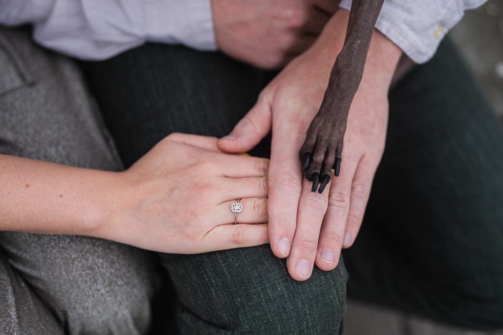 mens en hondenfotograaf Erpe-Mere, verlovingsfoto's met je hond