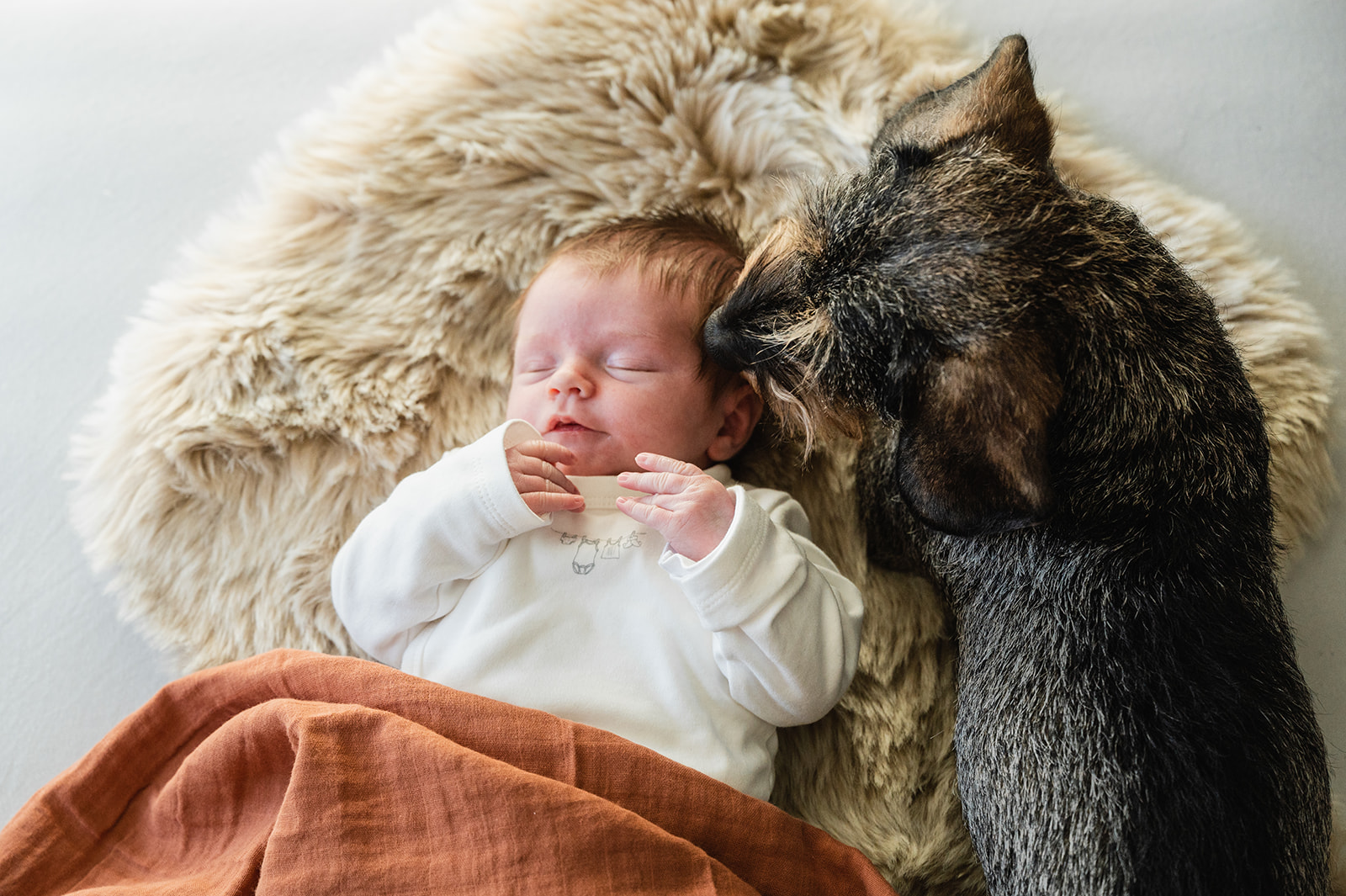 Lees meer over het artikel Het ideale moment voor babyfoto’s bij newbornfotograaf in Denderhoutem-Ninove