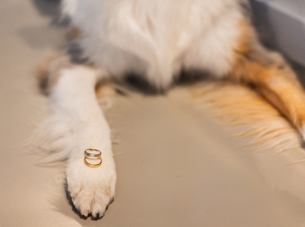 hond op huwelijk, trouwfoto's hond, huwelijksfotograaf hond