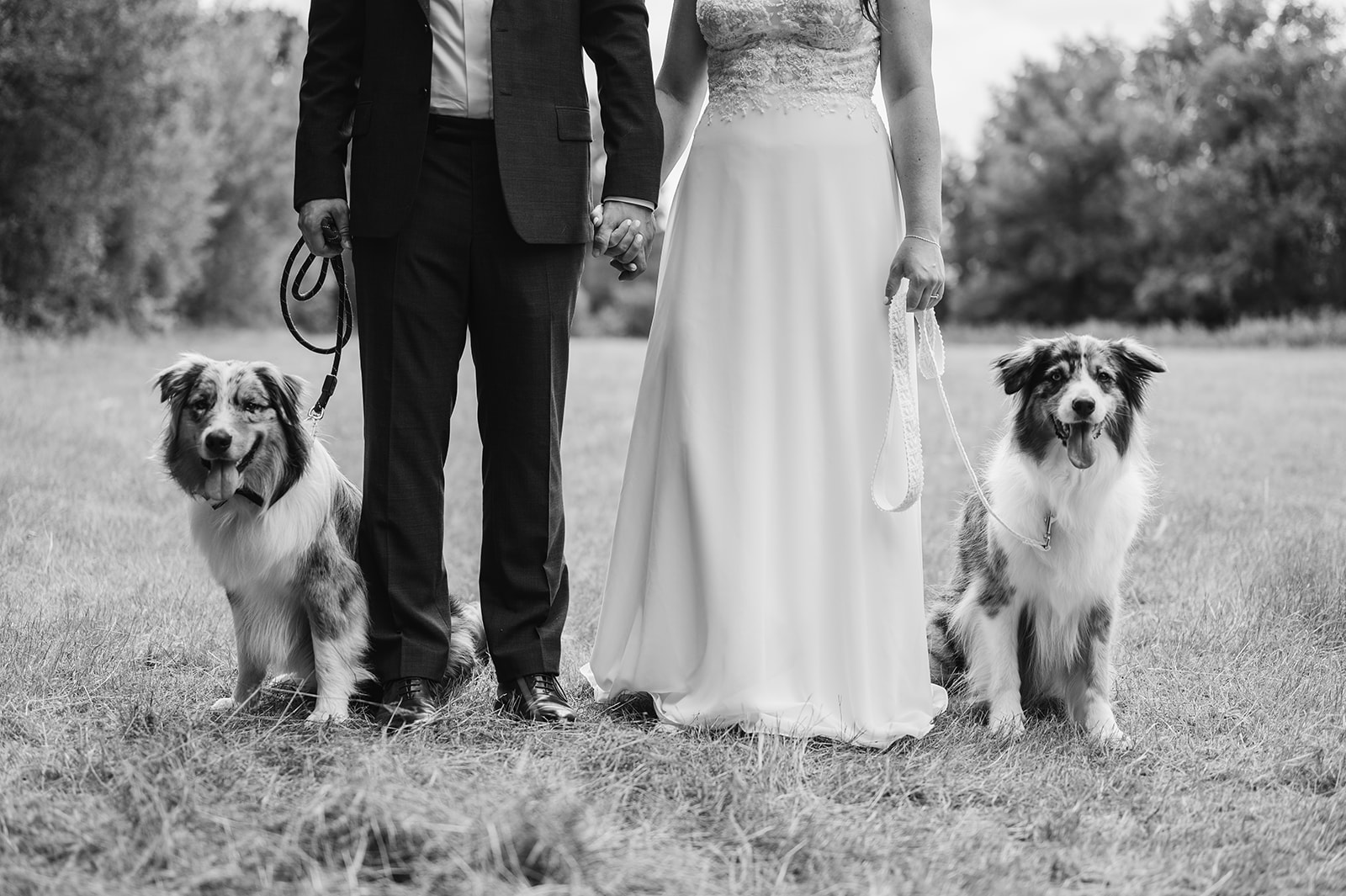 mens en hondenfotograaf huwelijksfotograaf