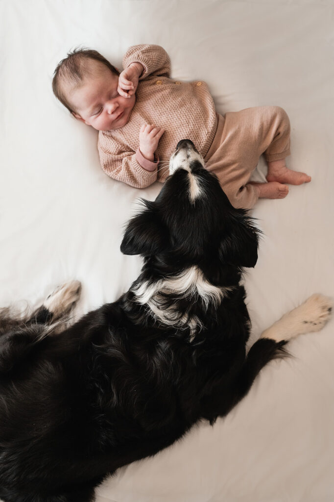 mens en hondenfotograaf, newbornfotograaf, babyfotograaf