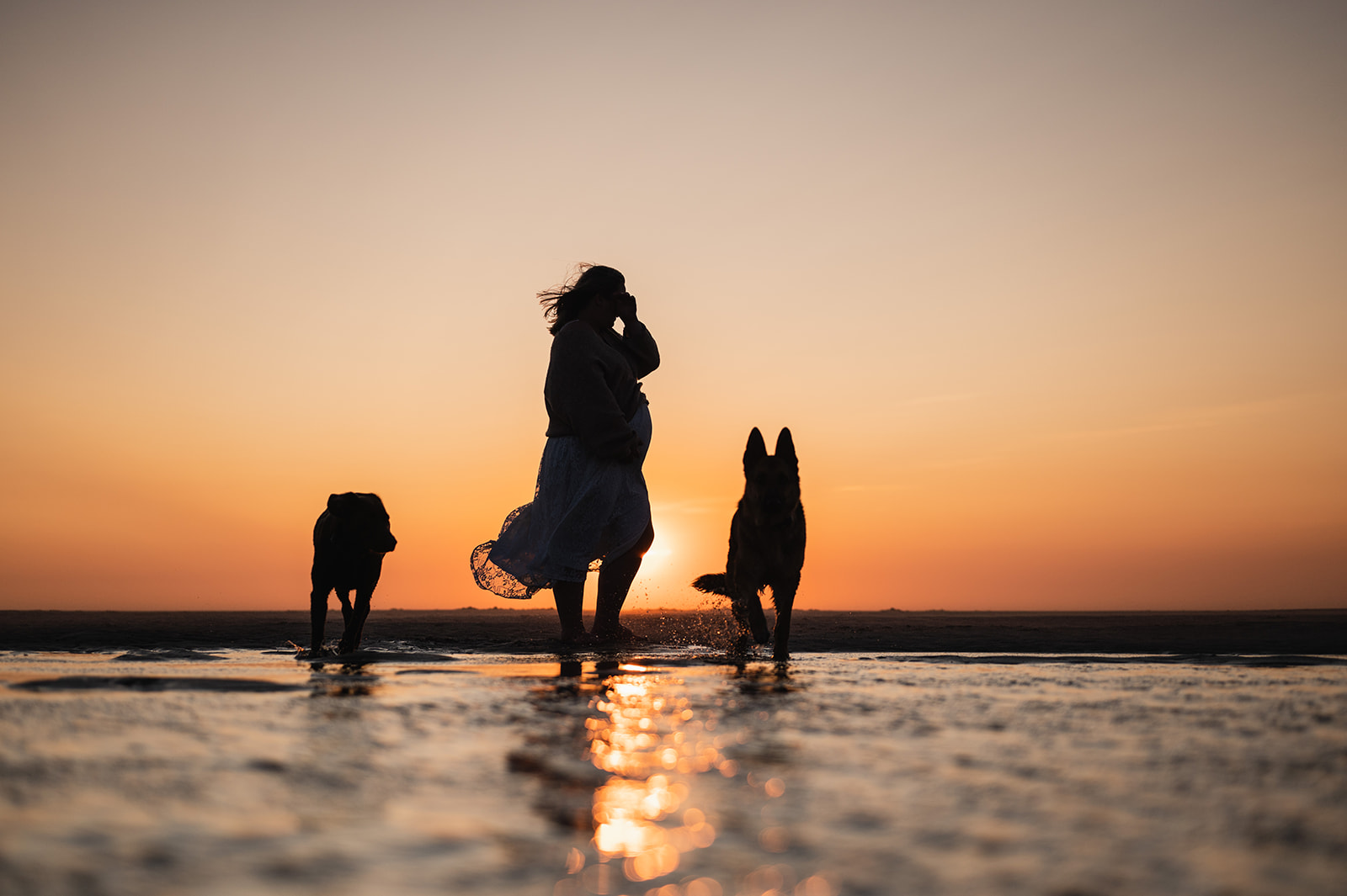 Zwangerschapsfoto’s met je hond bij mens en hondenfotograaf Haaltert - Denderhoutem - Ninove